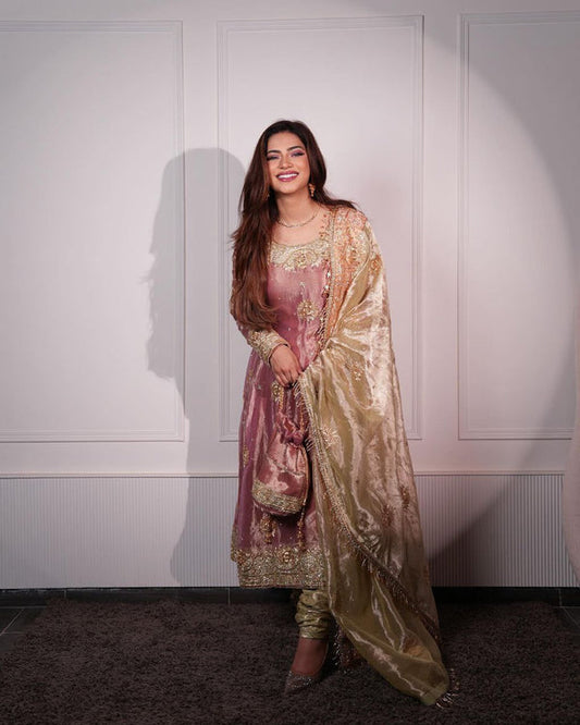Nargish Premium Jimmy Choo Fabric with Embroidery Work
